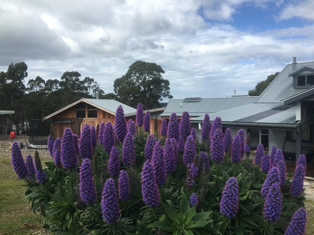 Bruny Island Lodge South Bruny ภายนอก รูปภาพ